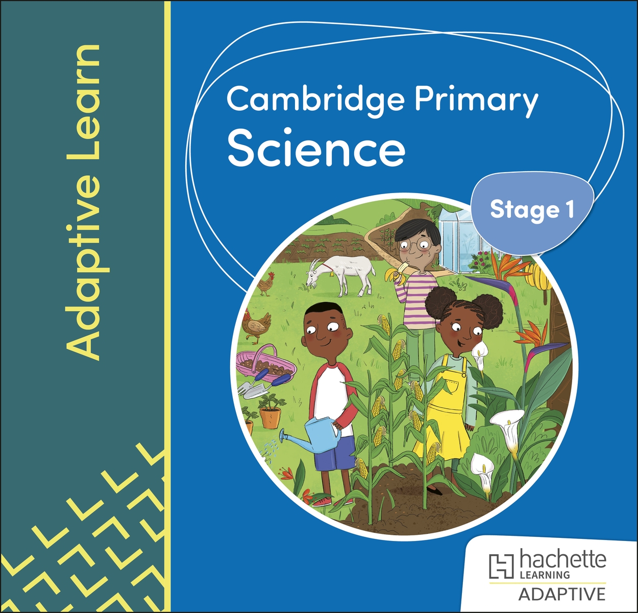 Cambridge Primary Science Stage 1 Adaptive Learn by Deborah Herridge ...