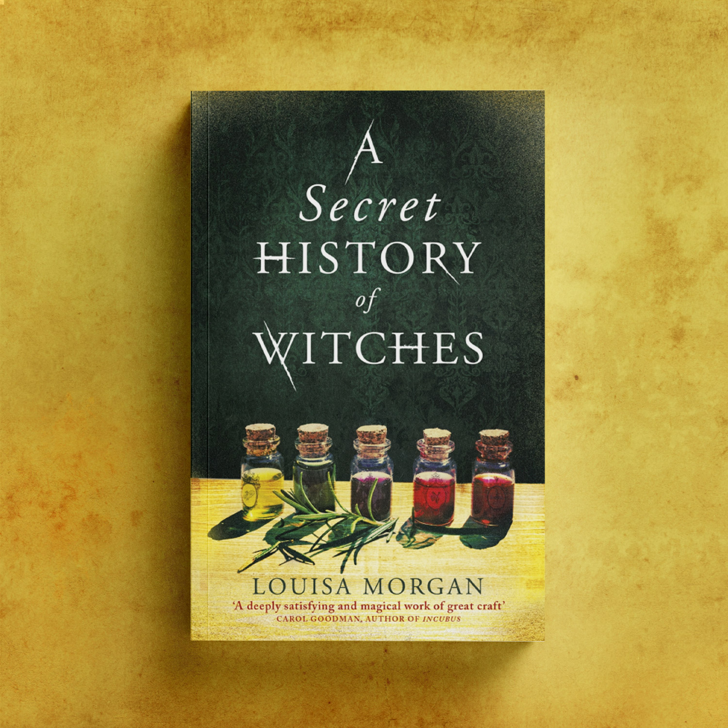 A Secret History of Witches