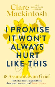 I Promise It Won’t Always Hurt Like This