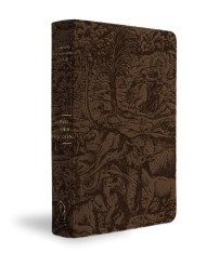 KJV Majestic Illuminated Bible (Brown LeatherLuxe)
