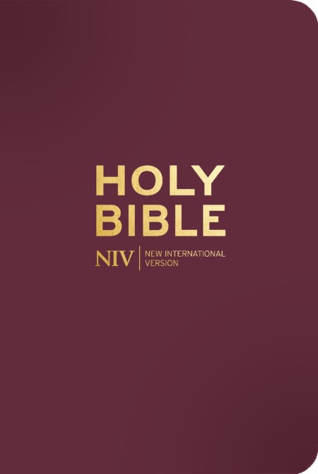 NIV Pocket Mulberry Bible with Gold Zip