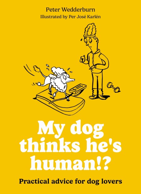My dog thinks he’s human!?