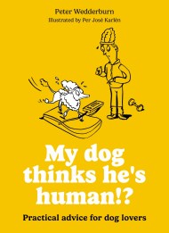 My dog thinks he’s human!?