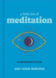 A Little Bit of Meditation