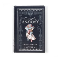 Gray’s Anatomy