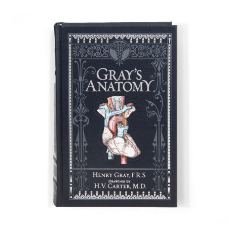 Gray’s Anatomy