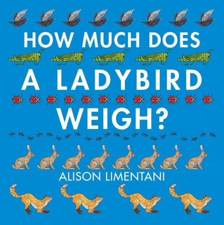 How Much Does a Ladybird Weigh?