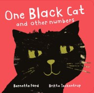 One Black Cat and Other Numbers