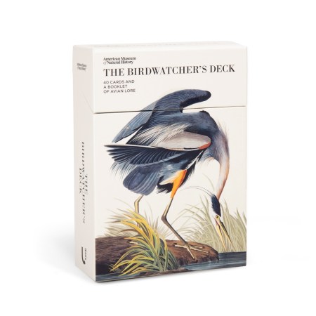 The Birdwatcher’s Deck