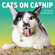 Cats on Catnip Wall Calendar 2027