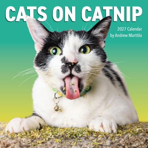 Cats on Catnip Wall Calendar 2027