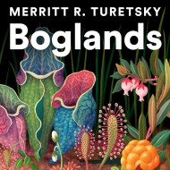 Boglands