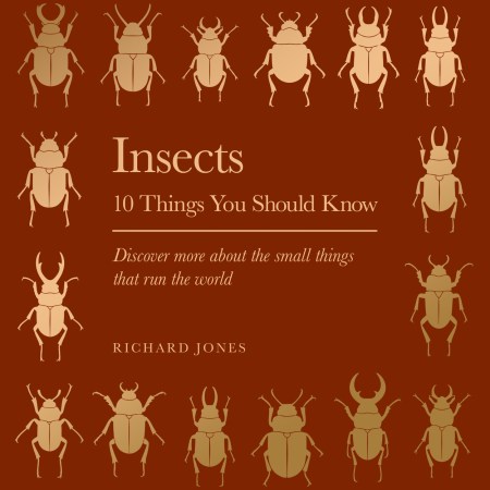 Insects