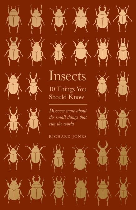 Insects