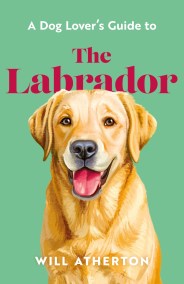 The Labrador