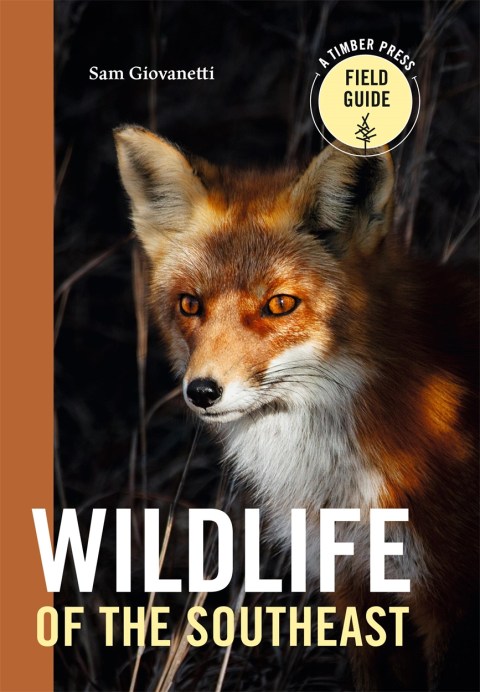 Wildlife of the Southeast
