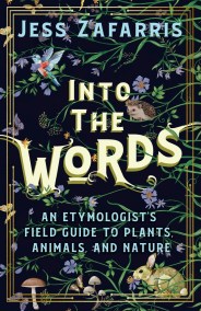 Into the Words