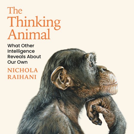 The Thinking Animal